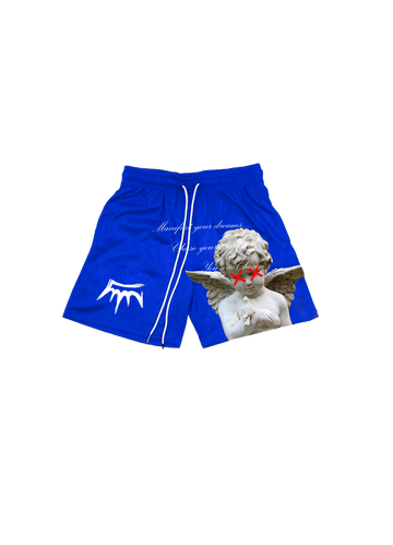 'Manifest Your Dreams' Blue Mesh Shorts