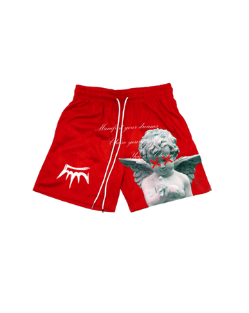 'Manifest Your Dreams' Red Mesh Shorts